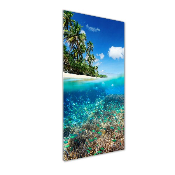 Quadro in vetro acrilico verticale Barriera corallina
