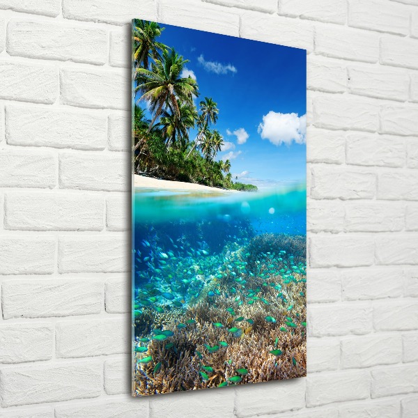 Quadro in vetro acrilico verticale Barriera corallina
