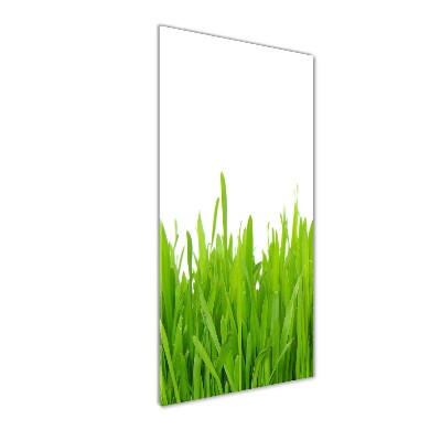 Quadro in vetro acrilico verticale Erba verde