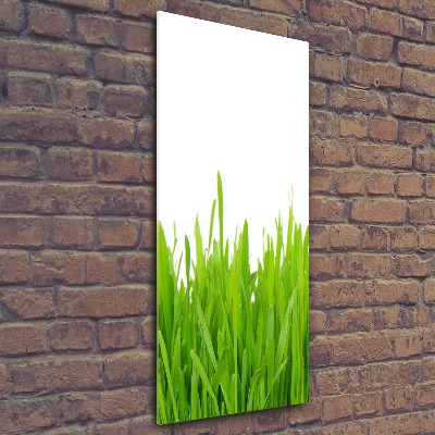 Quadro in vetro acrilico verticale Erba verde