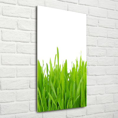 Quadro in vetro acrilico verticale Erba verde