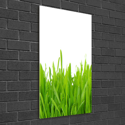 Quadro in vetro acrilico verticale Erba verde