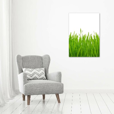 Quadro in vetro acrilico verticale Erba verde