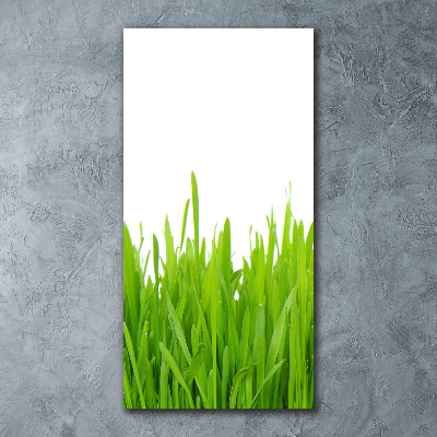 Quadro in vetro acrilico verticale Erba verde