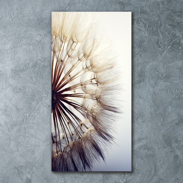 Quadro vetro acrilico verticale Dente di leone