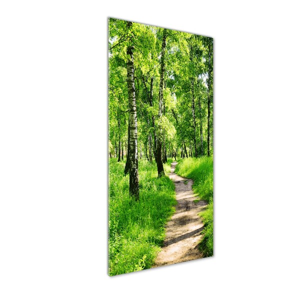 Quadro vetro acrilico verticale Foresta di betulle