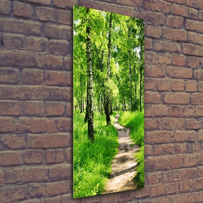 Quadro vetro acrilico verticale Foresta di betulle