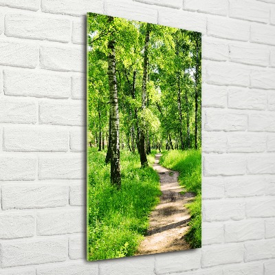 Quadro vetro acrilico verticale Foresta di betulle