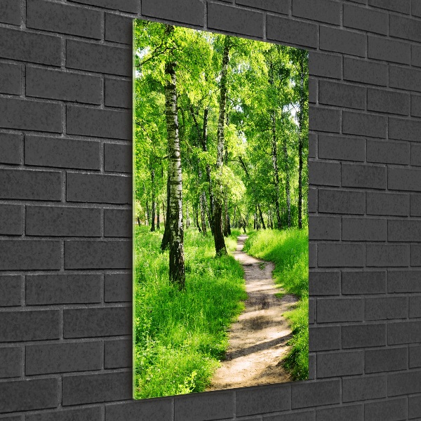 Quadro vetro acrilico verticale Foresta di betulle