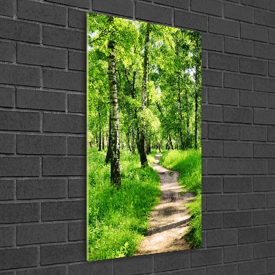 Quadro vetro acrilico verticale Foresta di betulle