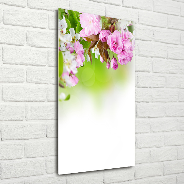 Quadro vetro acrilico verticale Fiori primaverili