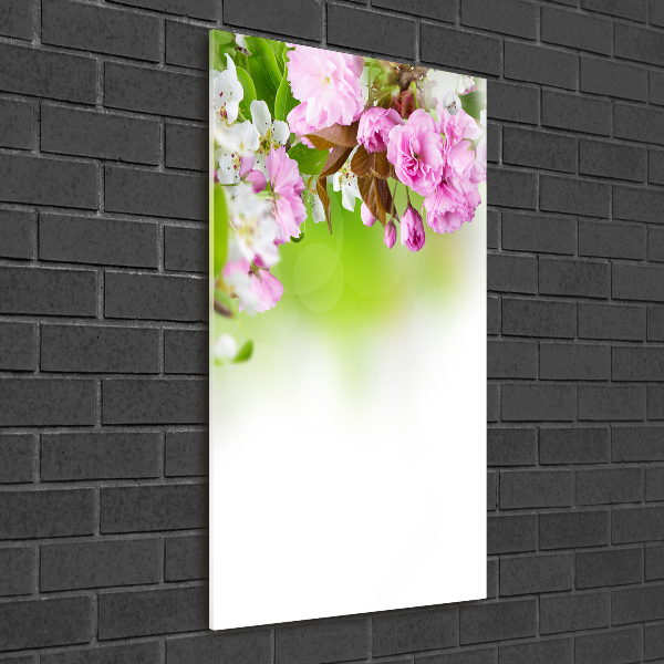Quadro vetro acrilico verticale Fiori primaverili