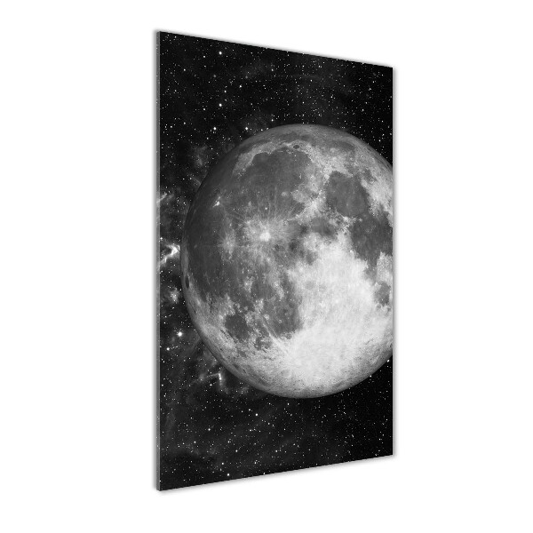 Quadro acrilico verticale Luna