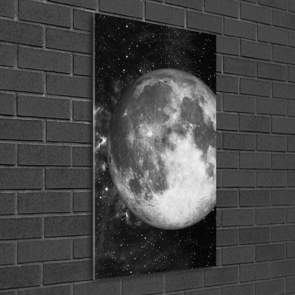 Quadro acrilico verticale Luna