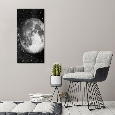 Quadro acrilico verticale Luna