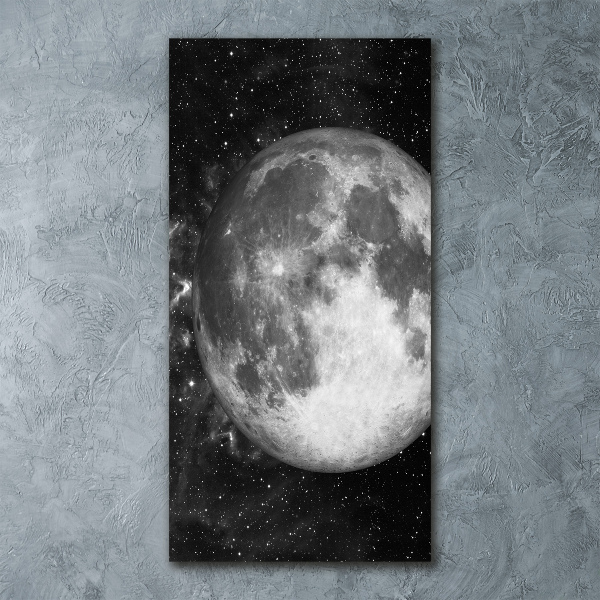 Quadro acrilico verticale Luna