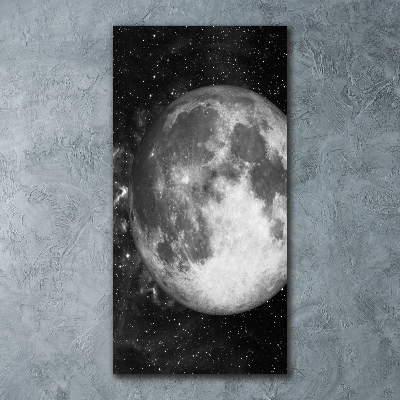 Quadro acrilico verticale Luna
