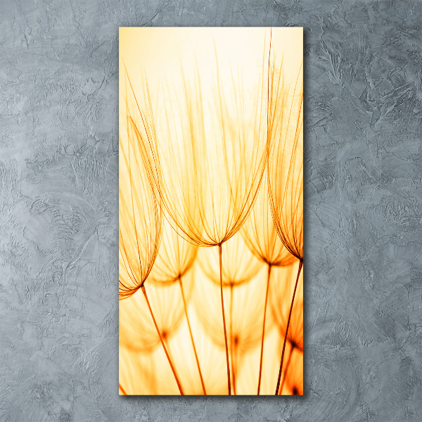 Quadro stampa su vetro acrilico verticale Semi di tarassaco