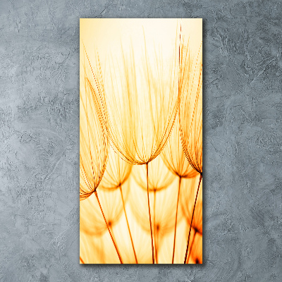 Quadro stampa su vetro acrilico verticale Semi di tarassaco