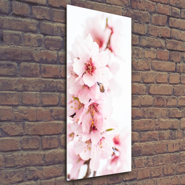Quadro vetro acrilico verticale Fiori di mandorlo