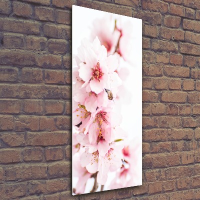 Quadro vetro acrilico verticale Fiori di mandorlo