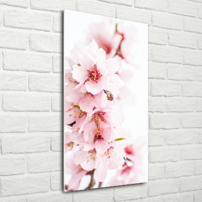 Quadro vetro acrilico verticale Fiori di mandorlo