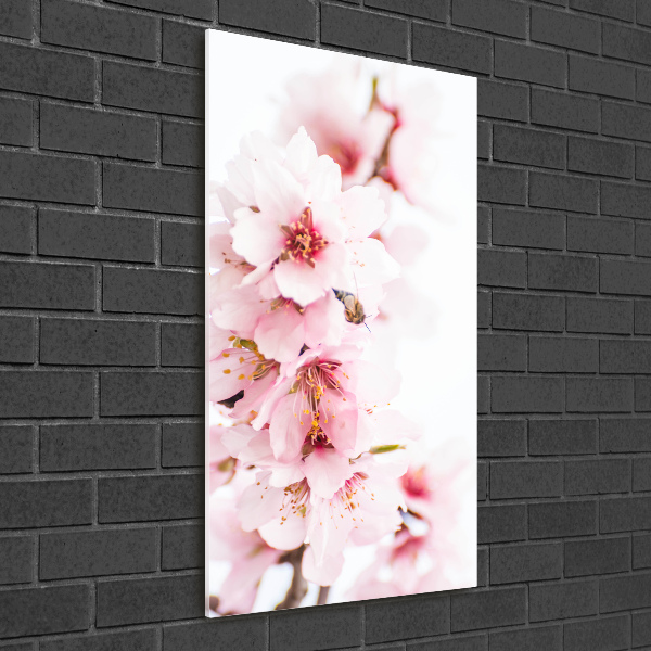Quadro vetro acrilico verticale Fiori di mandorlo