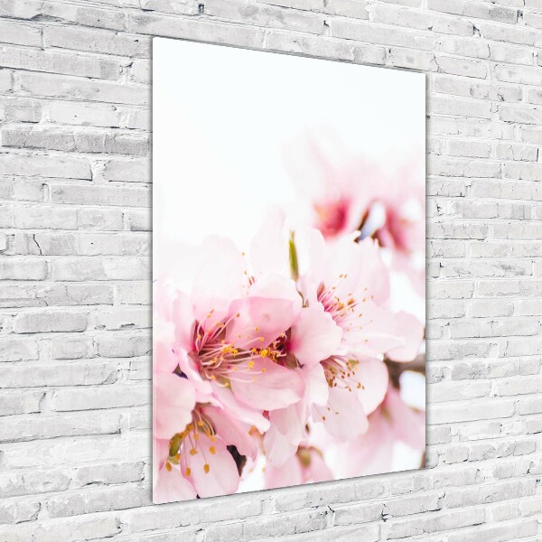Quadro vetro acrilico verticale Fiori di mandorlo