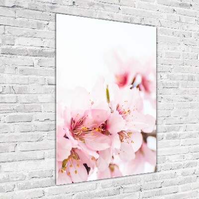 Quadro vetro acrilico verticale Fiori di mandorlo