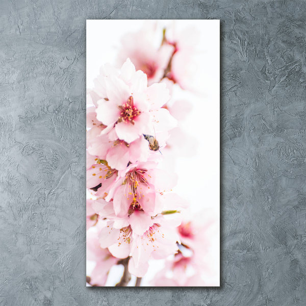 Quadro vetro acrilico verticale Fiori di mandorlo