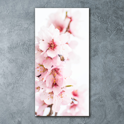 Quadro vetro acrilico verticale Fiori di mandorlo