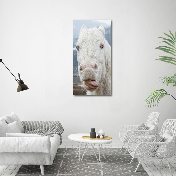 Quadro vetro acrilico verticale Cavallo Bianco Pazzo