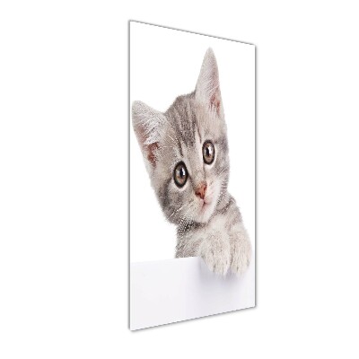 Quadro in vetro acrilico verticale Gatto grigio