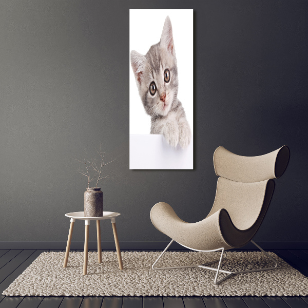 Quadro in vetro acrilico verticale Gatto grigio
