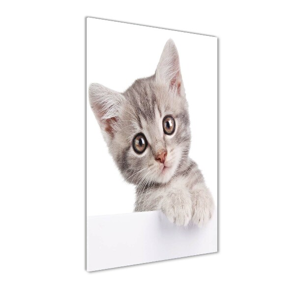 Quadro in vetro acrilico verticale Gatto grigio