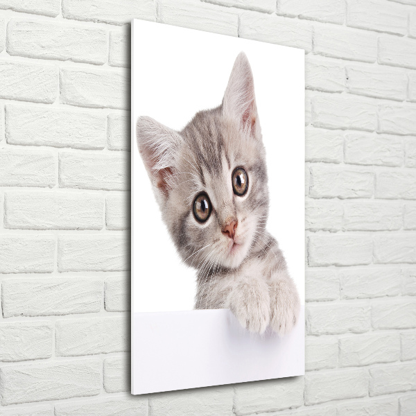 Quadro in vetro acrilico verticale Gatto grigio
