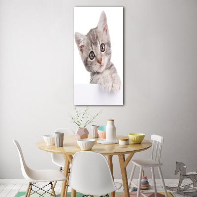 Quadro in vetro acrilico verticale Gatto grigio
