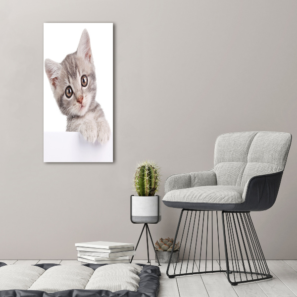 Quadro in vetro acrilico verticale Gatto grigio