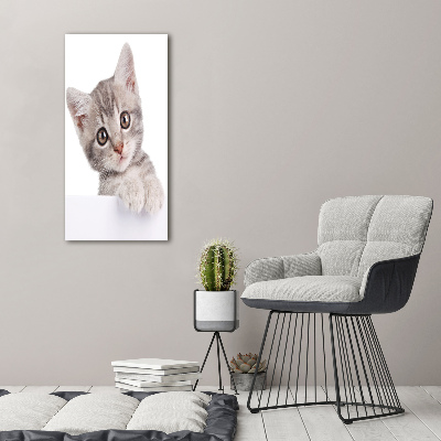 Quadro in vetro acrilico verticale Gatto grigio