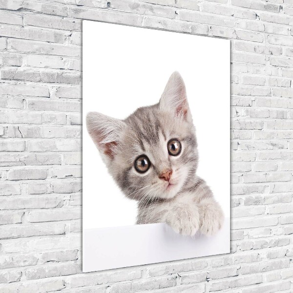 Quadro in vetro acrilico verticale Gatto grigio