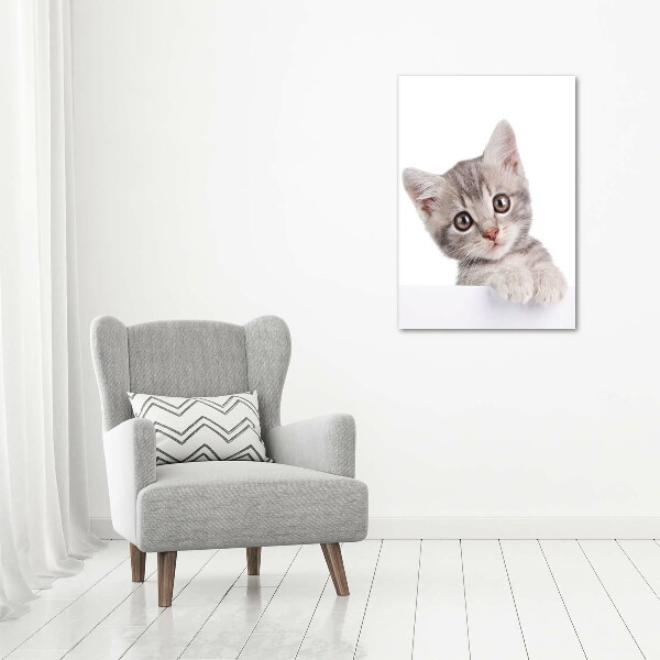 Quadro in vetro acrilico verticale Gatto grigio