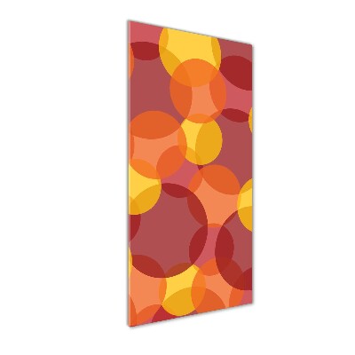 Quadro vetro acrilico verticale Cerchi colorati