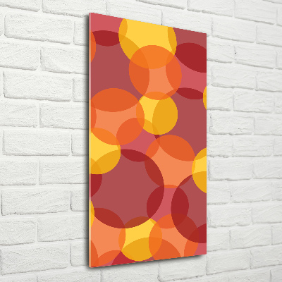 Quadro vetro acrilico verticale Cerchi colorati