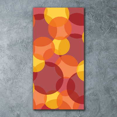 Quadro vetro acrilico verticale Cerchi colorati