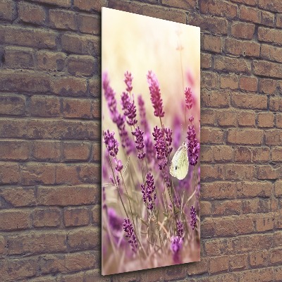 Quadro acrilico verticale Fiori di lavanda