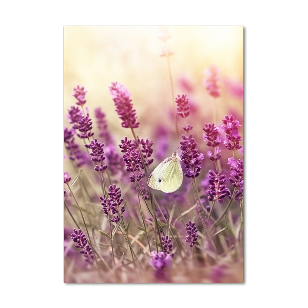 Quadro acrilico verticale Fiori di lavanda