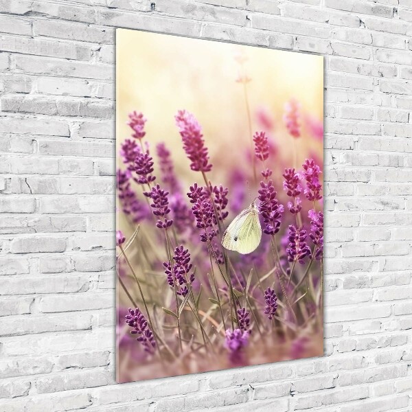 Quadro acrilico verticale Fiori di lavanda