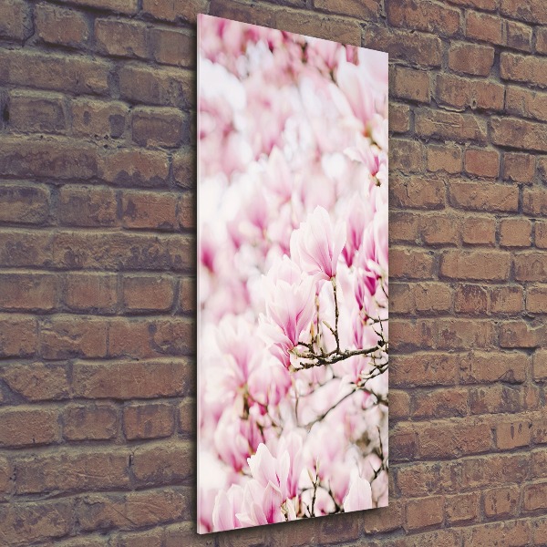 Quadro in vetro acrilico verticale Fiori di magnolia