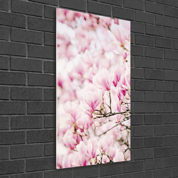 Quadro in vetro acrilico verticale Fiori di magnolia