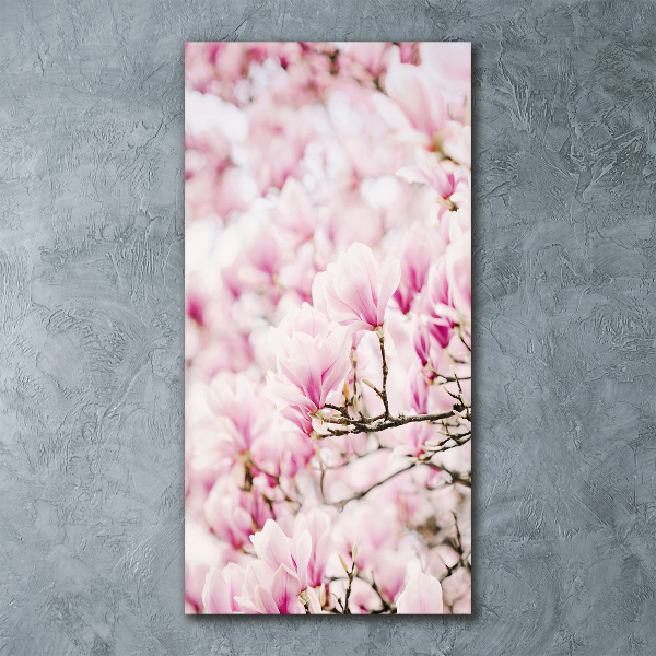 Quadro in vetro acrilico verticale Fiori di magnolia